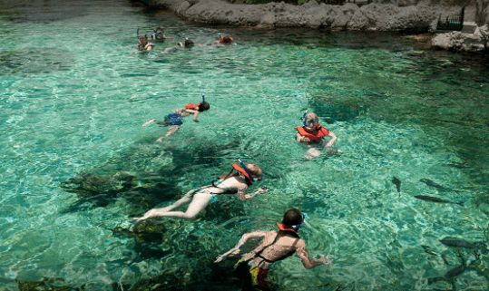 SNORKELLING CAYMAN 2