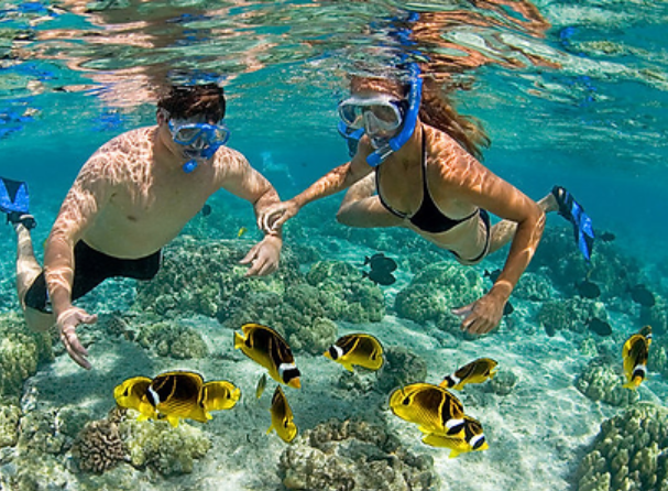 SNORKELLING CAYMAN 3