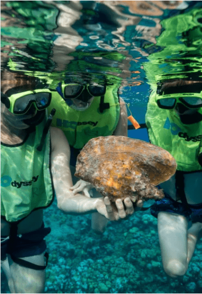 SNORKELLING CAYMAN