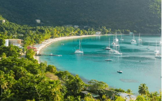 TORTOLA 4