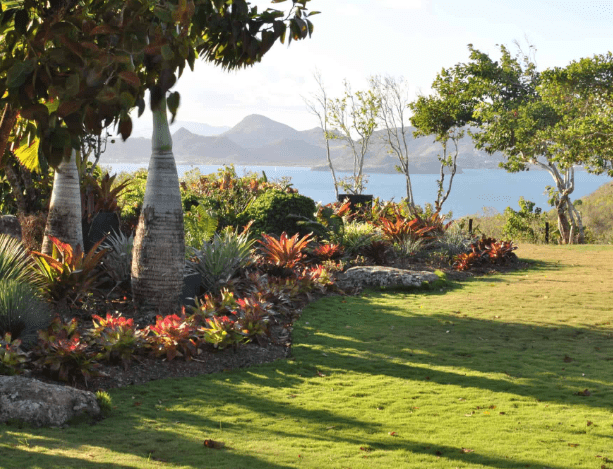 ST KITTS 15 1