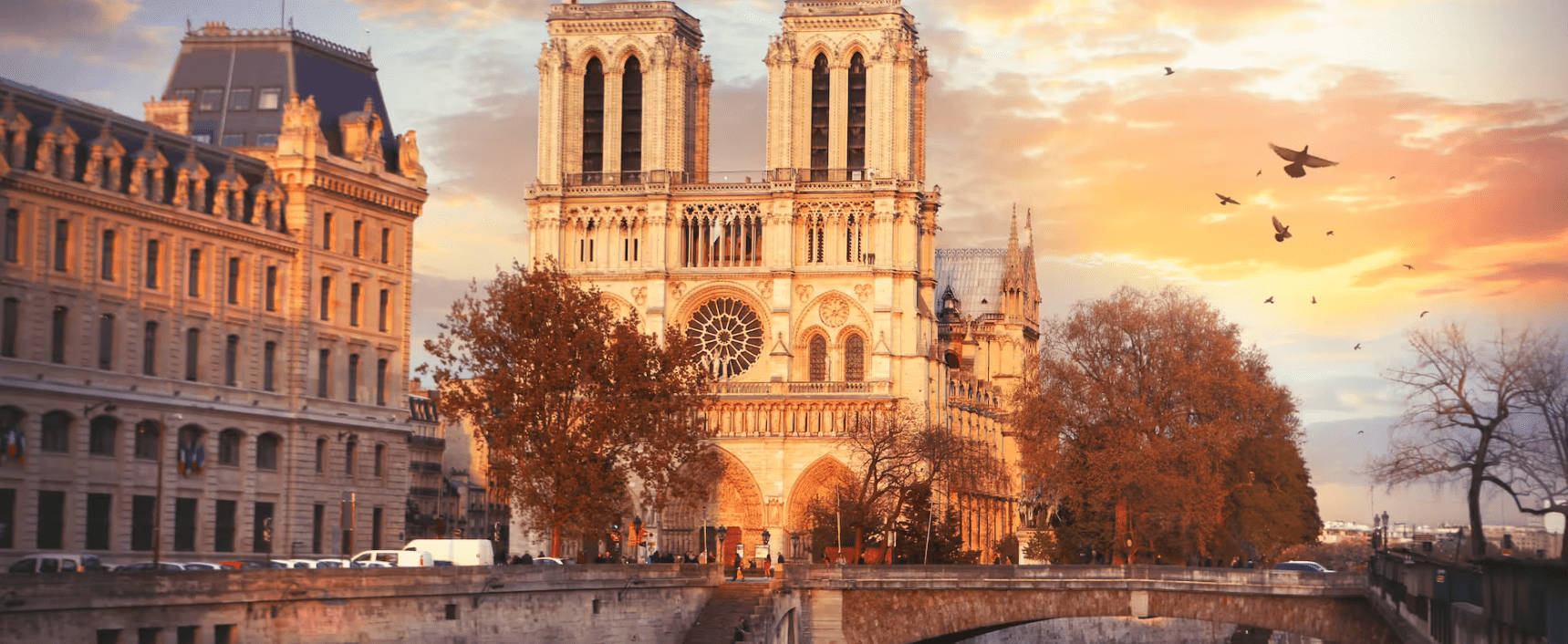 Notre Dame Cathedral with birds flying overhead.