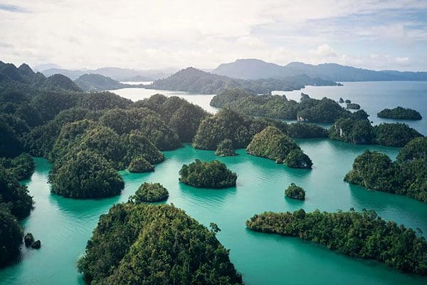 Aerial view of lush green islands in turquoise water.