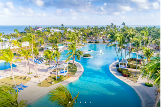 Aerial view of resort pool with palm trees.