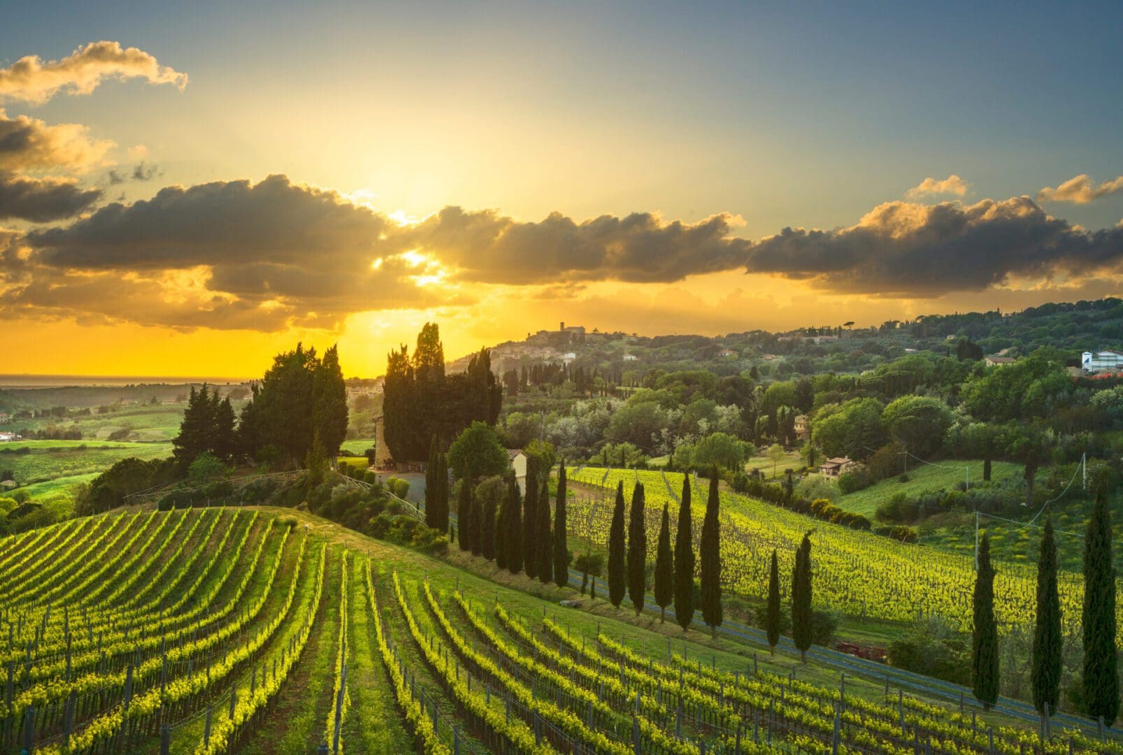 Casale Marittimo village, vineyards and countryside landscape in Maremma. Pisa Tuscany, Italy Europe.