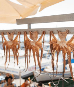 An octopus hanging on a rack.