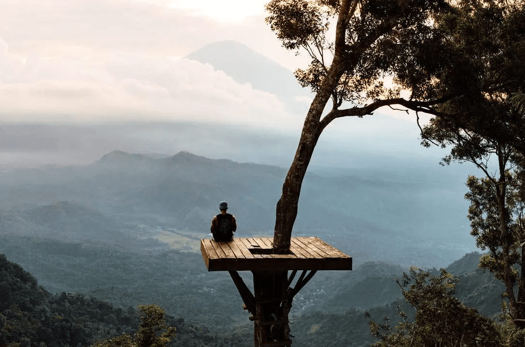 A man sitting on top of a tree in the mountains.