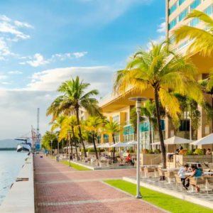 A sidewalk with palm trees and a view of the ocean.