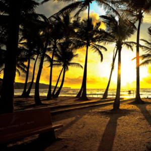 Palm trees on the beach.