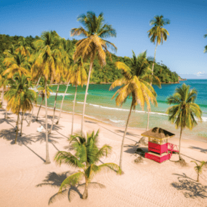 An aerial view of a beach with palm trees.