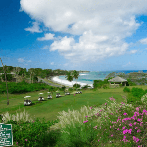 A golf course with trees and flowers near the ocean.