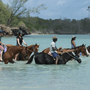 A group of people riding horses in the water.