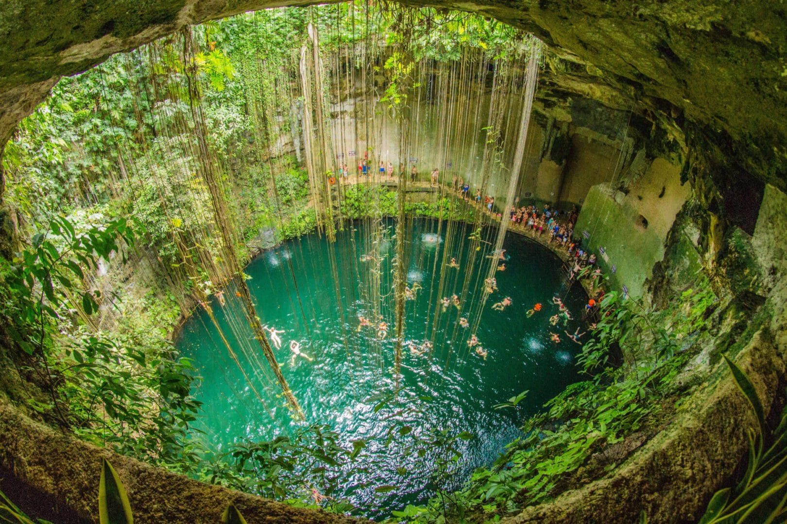 Cenote with turquoise water and vines.