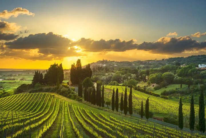 Sunset over rolling hills and vineyards.