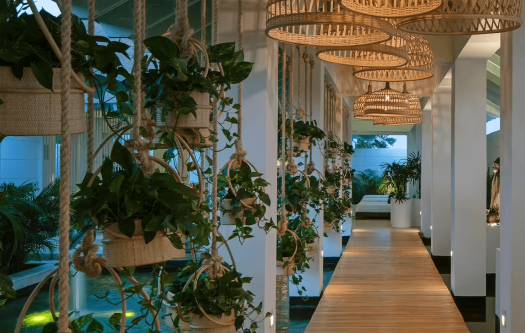 White hallway with hanging plants and lights.