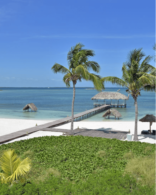 Tropical beach with wooden pier and palm trees.