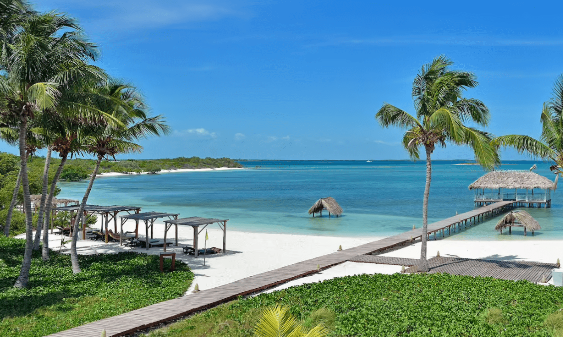 Tropical beach with palm trees and pier.