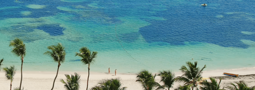 Tropical beach with palm trees and clear water.