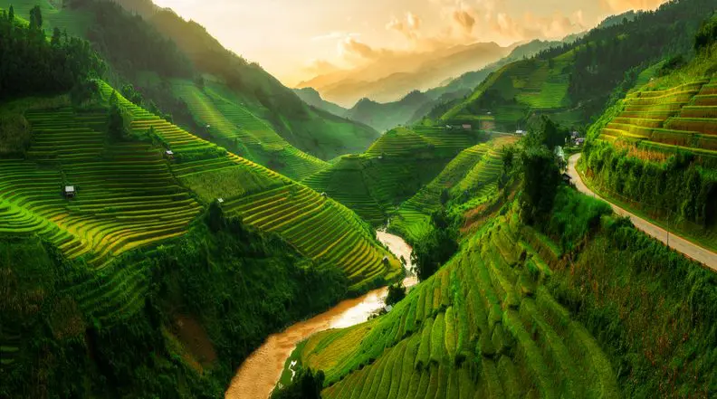 Green rice terraces with a river winding through.