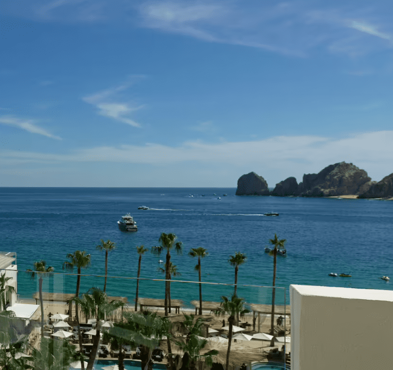 Ocean view with palm trees and boats.