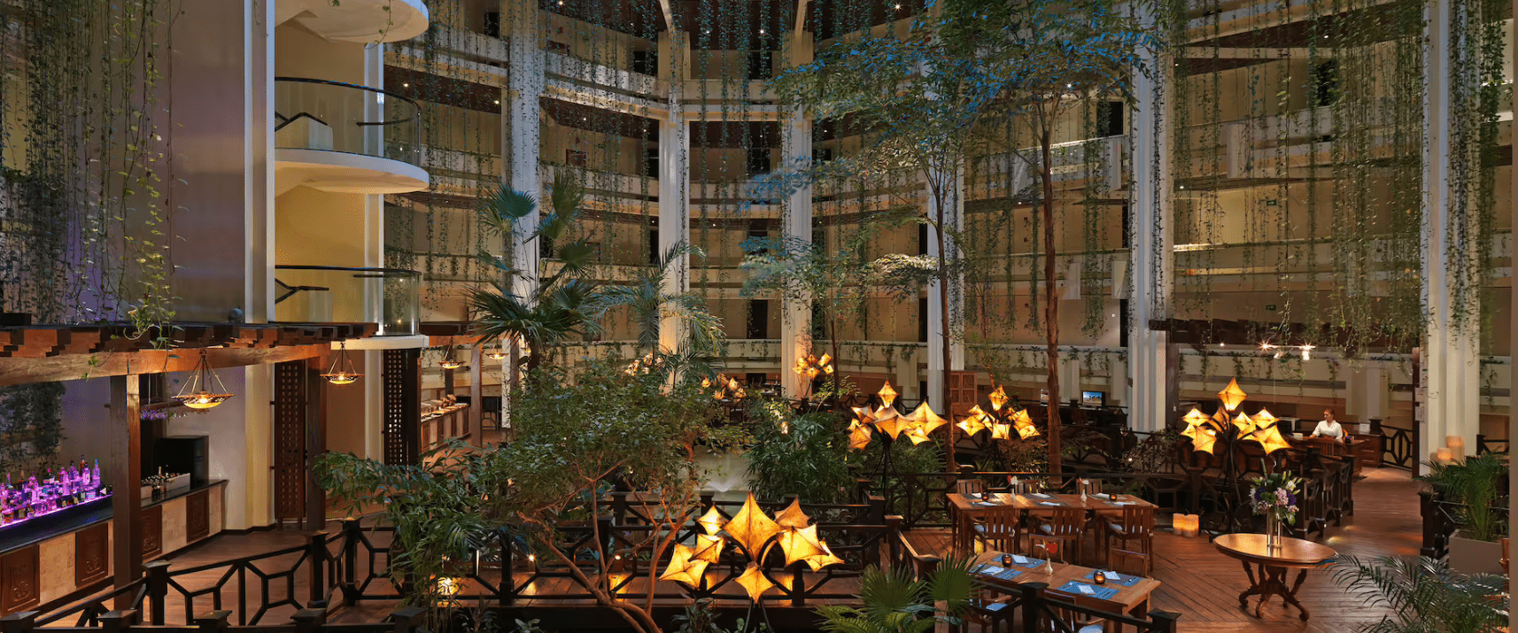 Indoor dining area with plants and lights.