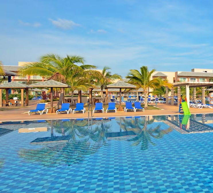 Palm trees and a swimming pool.