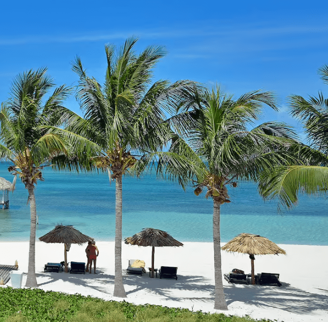 Palm trees on white sand beach with blue water.