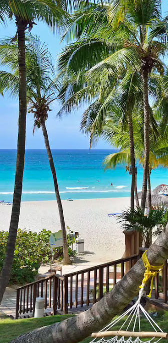 Palm trees framing a beach view.