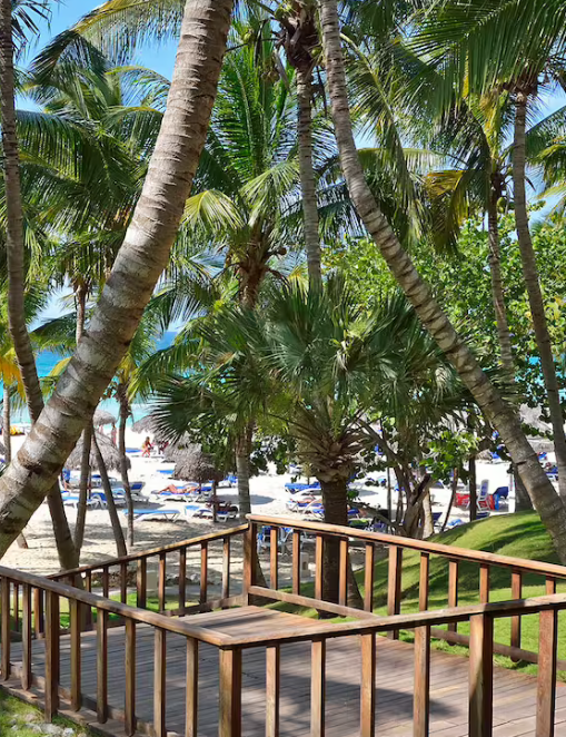 Wooden walkway overlooking a tropical beach.