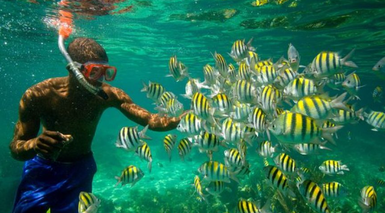 Man snorkeling with colorful fish.