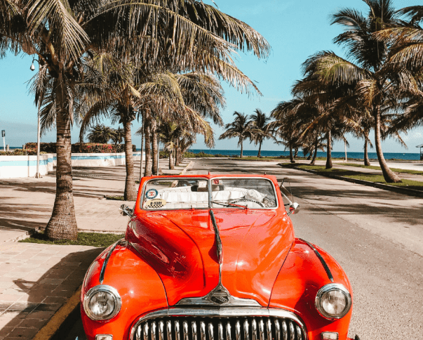 Red vintage car parked under palm trees.