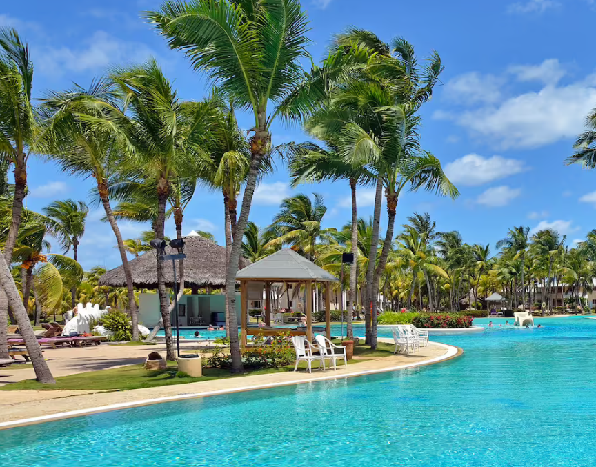 Palm trees and a pool at a resort.