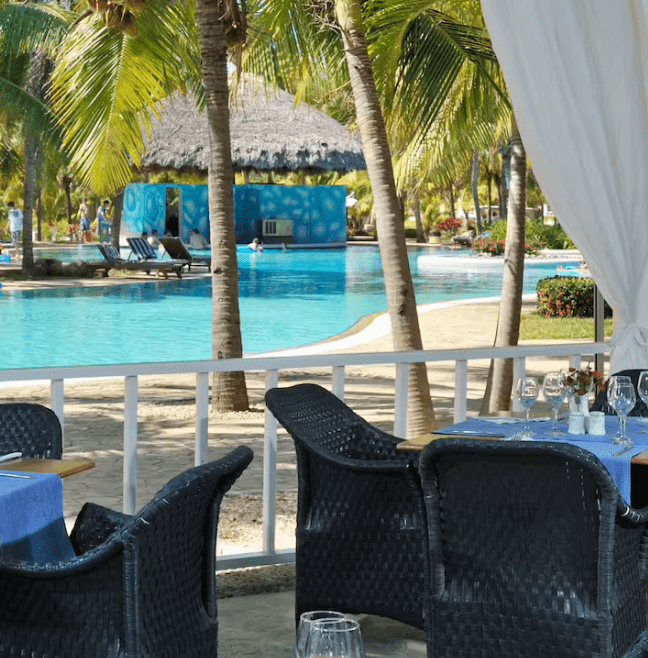 Poolside dining with palm trees and wicker chairs.