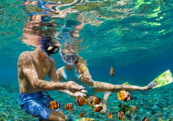 Couple snorkeling with colorful fish.