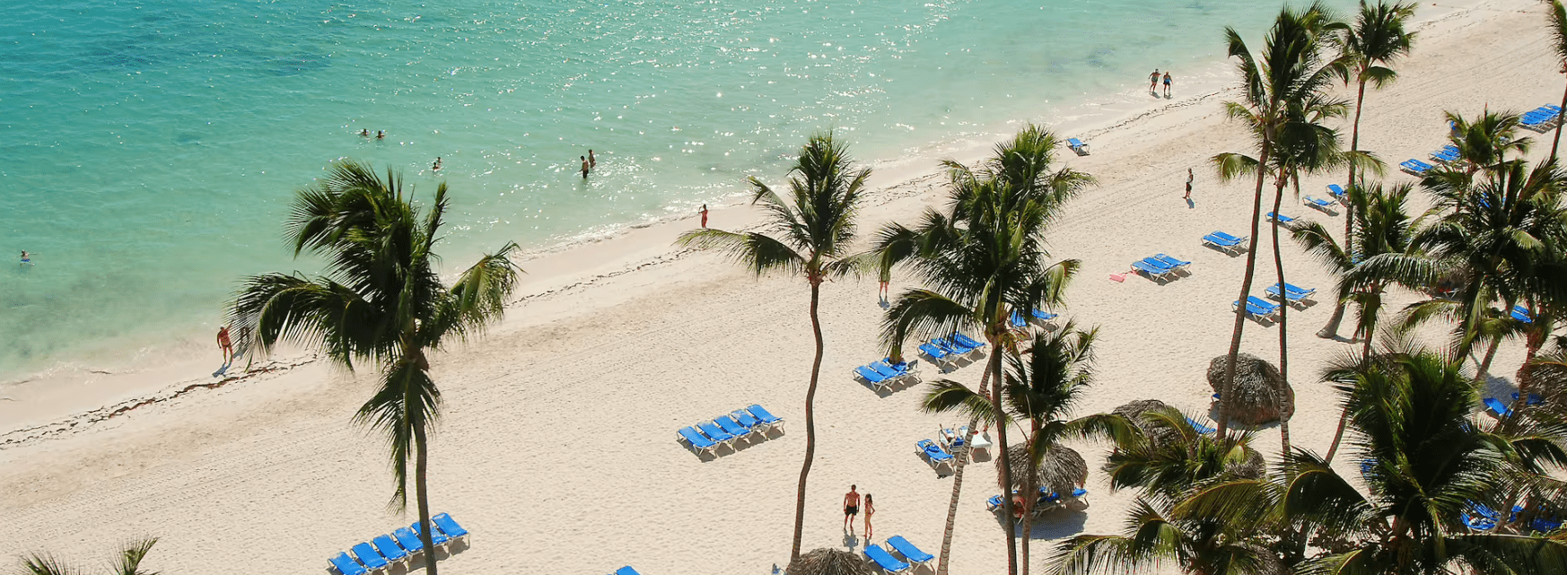 Tropical beach with palm trees and loungers.