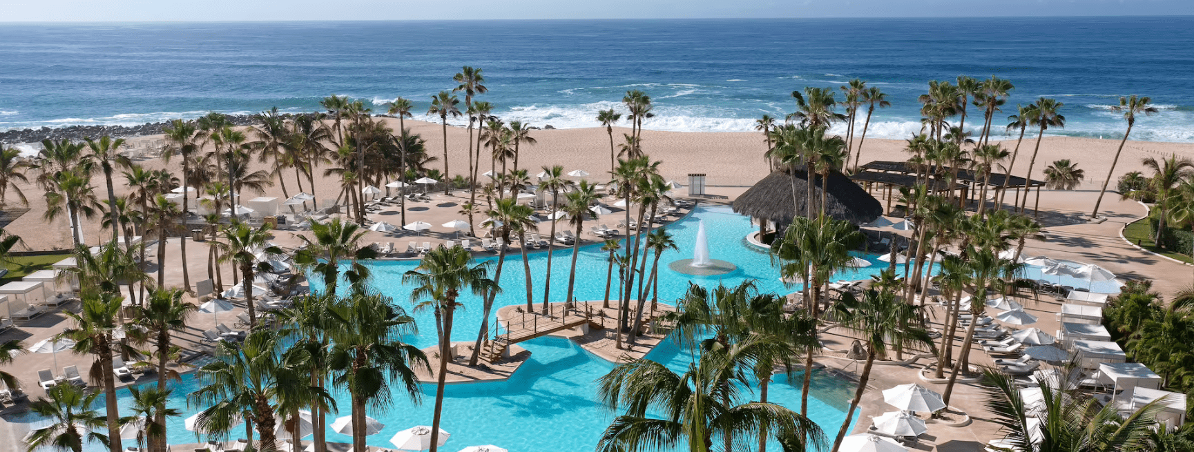 Oceanfront resort pool with palm trees.