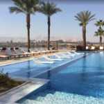 Pool with lounge chairs and palm trees.