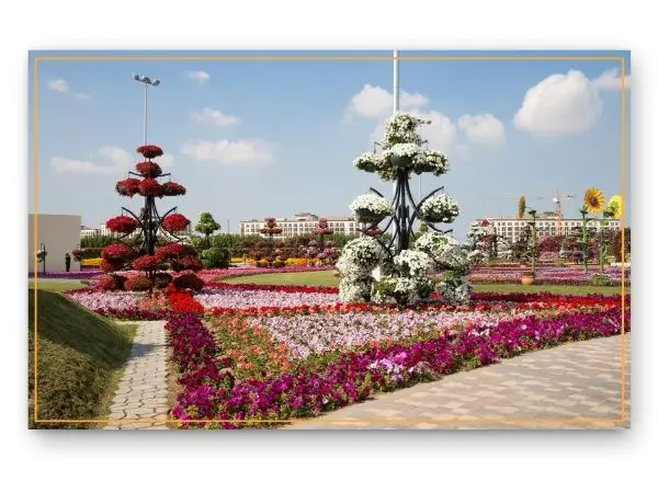 miracle garden dubai