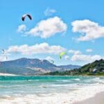 Colorful kites flying over beach and ocean.