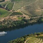 Aerial view of vineyard and riverboat.