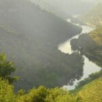 Lush river valley surrounded by misty hills.