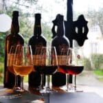 Wine bottles and glasses by a rainy window.