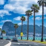 Coastal road with palm trees and mountains.