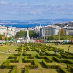 City park with greenery and waterfront view.